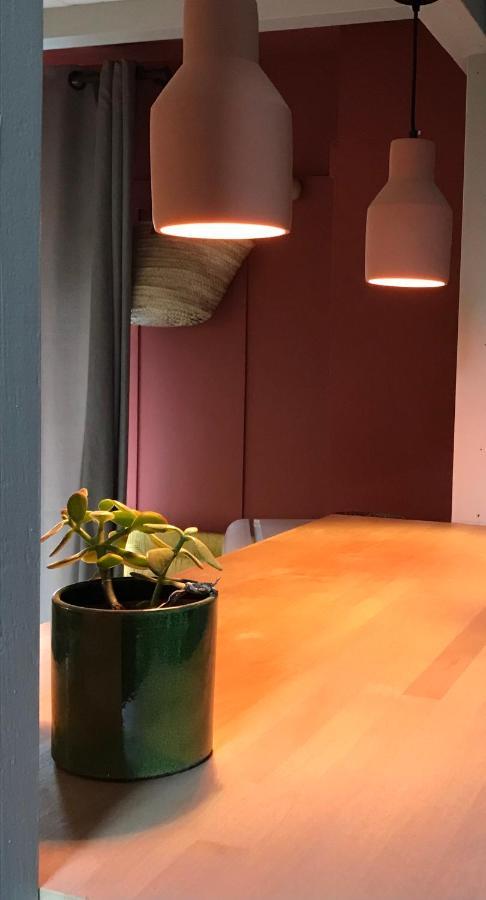 Appartement Douillet, Plein Centre Le Chambon-sur-Lignon Exterior foto